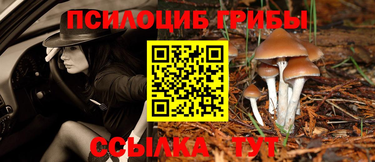 Галлюциногенные грибы прущие грибы  Галлюциногенные грибы Magic Shrooms  Вход с VPN  Ачхой-Мартан 