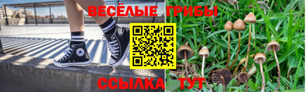 Псилоцибиновые грибы мухоморы Ачхой-Мартан